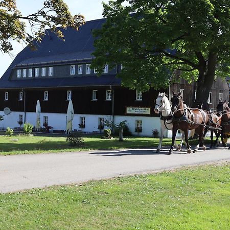 Waldgasthof Bad Einsiedel Seiffen Exterior photo