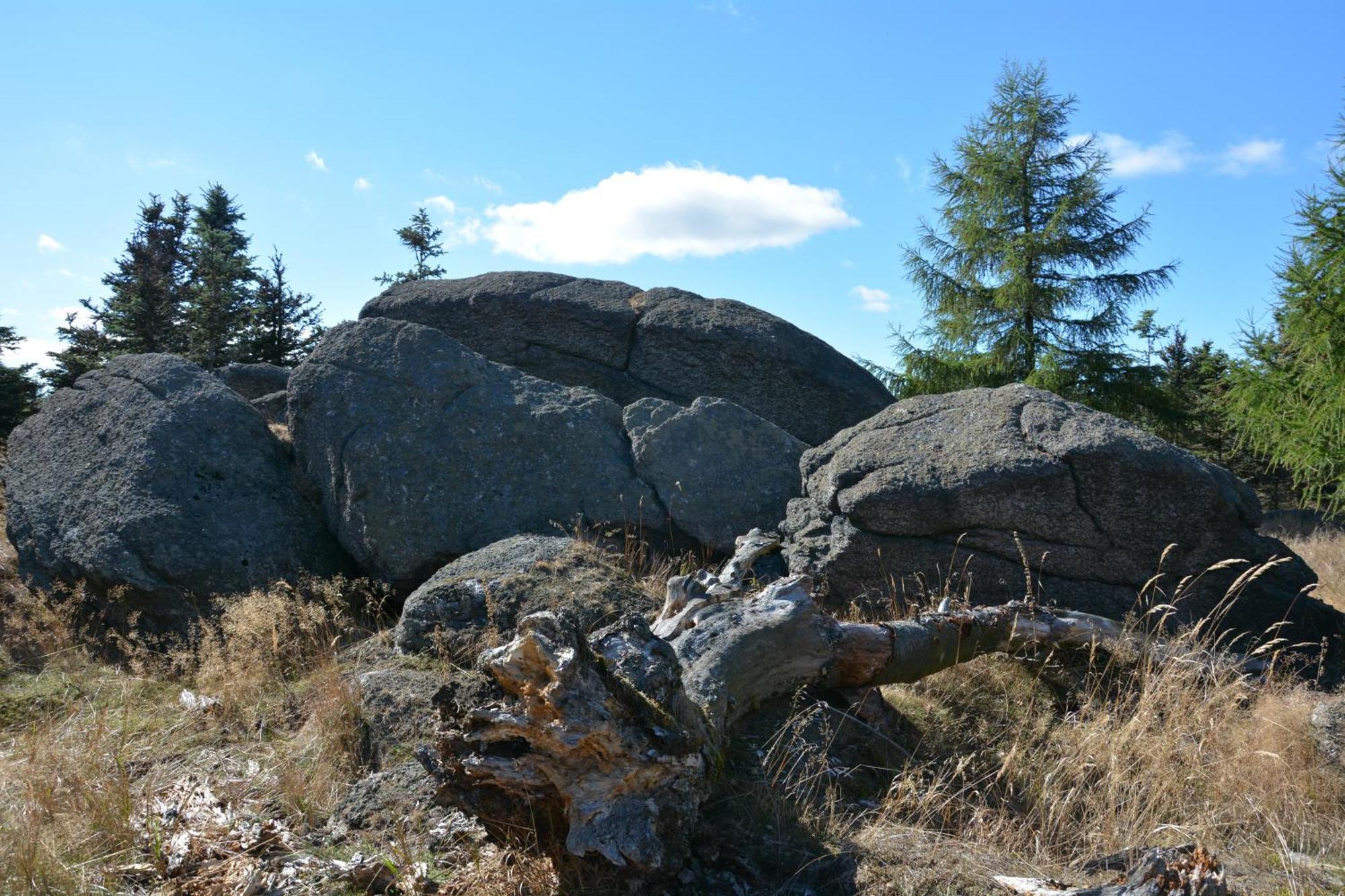 Waldgasthof Bad Einsiedel Seiffen Exterior photo