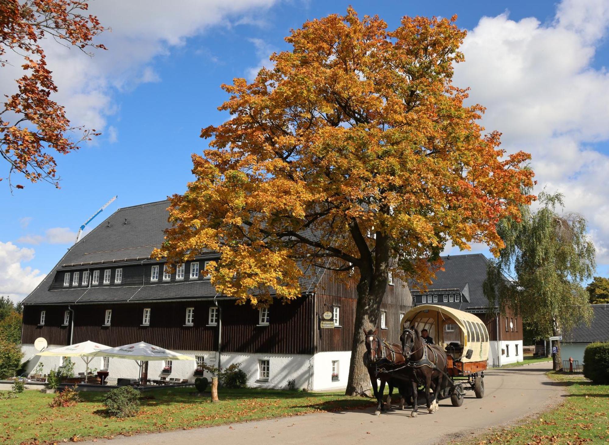 Waldgasthof Bad Einsiedel Seiffen Exterior photo